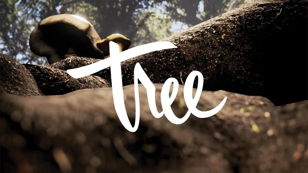 Tree VR