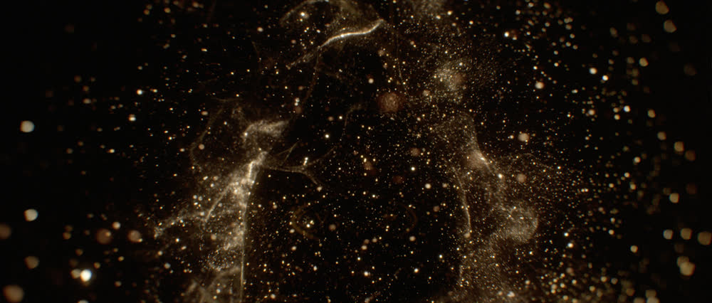 Film frame